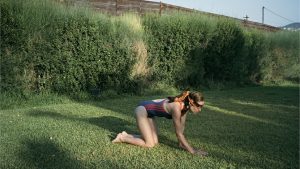 Dogtooth