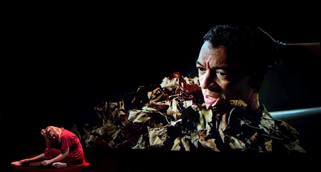 Blank Out Michel van der Aa met Roderick Williams (c) Marco Borggreve