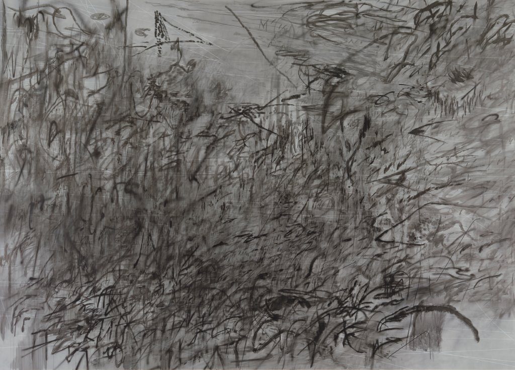 Backdrop for Feather Mantle (design & photo: Julie Mehretu)