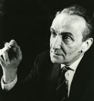 Kees van Baaren