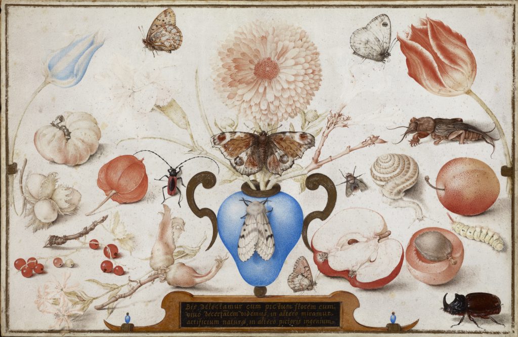 07. Hofnagel 566