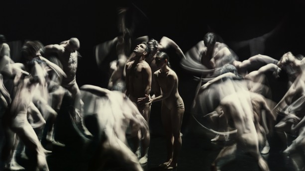 Chamber - Medhi Walerski