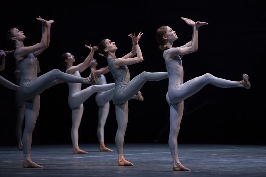 Sacre Shen Wei