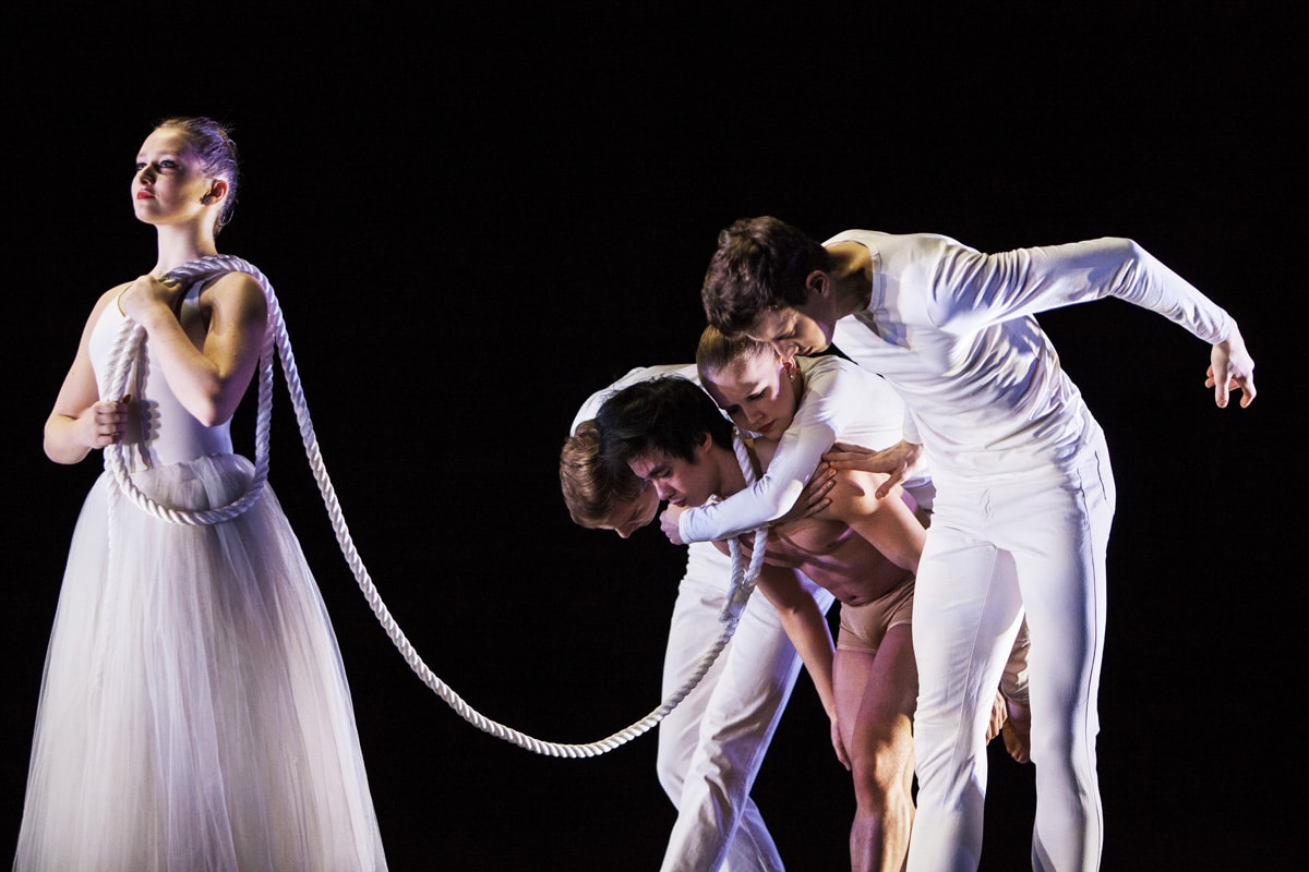 Dying Swan (Rinus Sprong), foto Studio Oostrum
