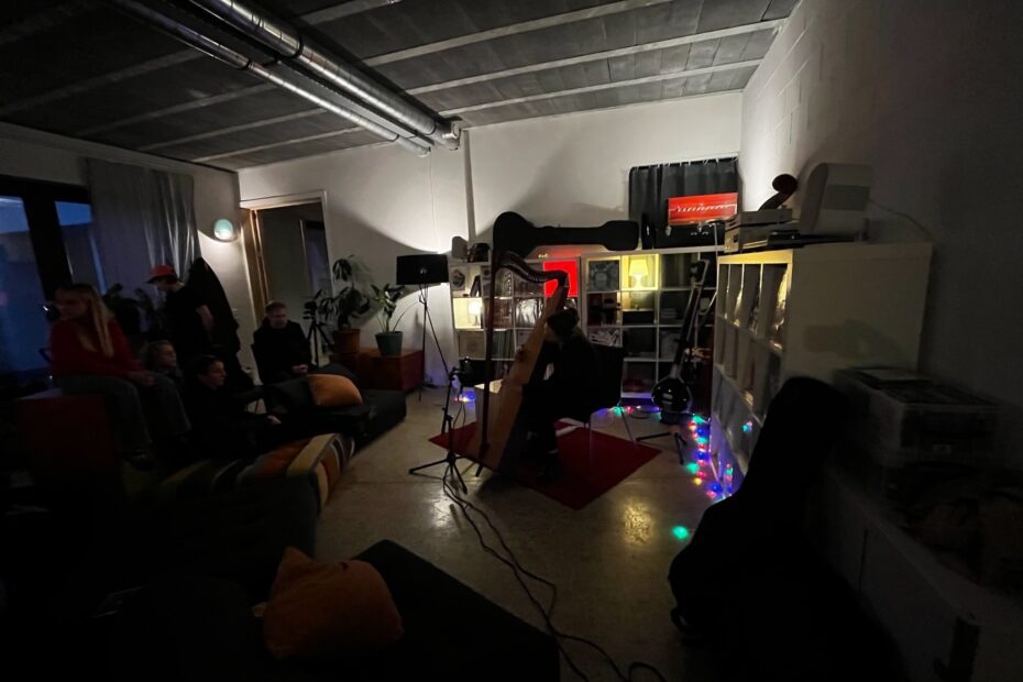 Ann Eysermans in Dropa House, foto door Dropa House