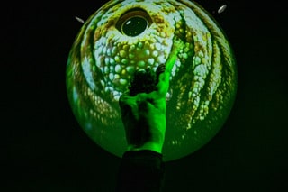 ICK: We, The Eyes, Maubeuge Alex Avgud