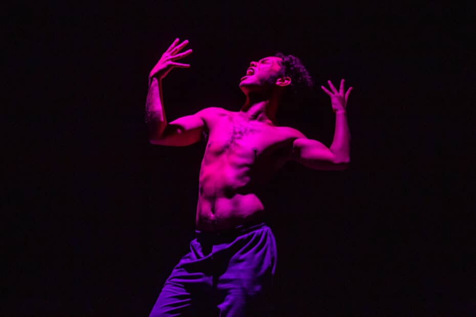 beeld uit macacos door Julieta Bacchin